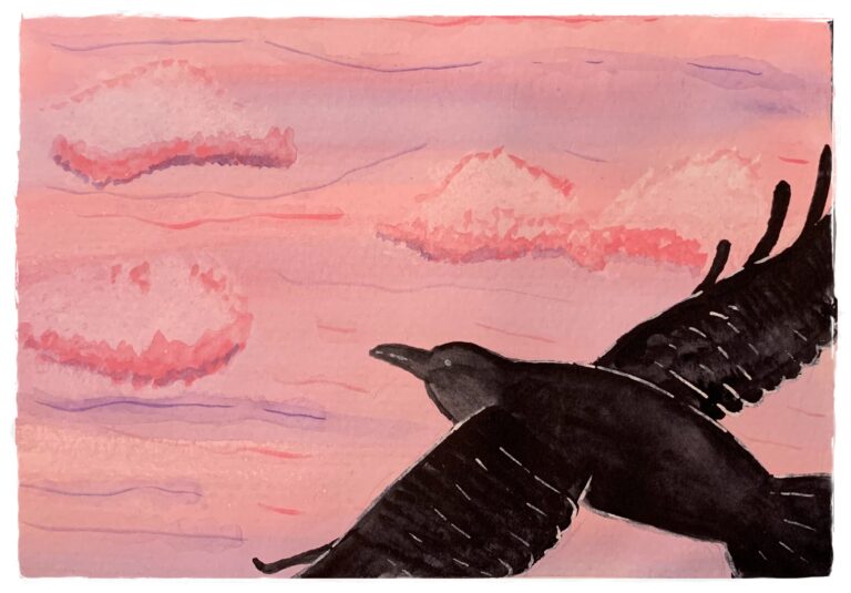 Meine Seele Schwarzer Vogel vor Himmel in Lila- Rosatönen mit Wolken